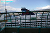 IMGP3864_thumb.jpg