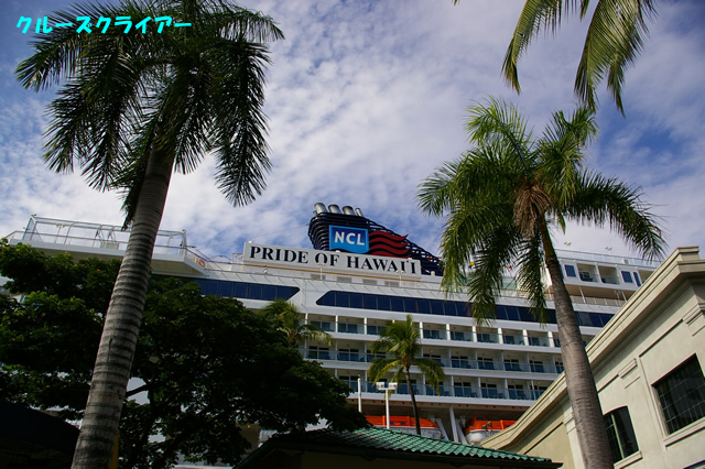 IMGP3875.jpg