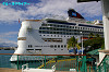 IMGP3876_thumb.jpg