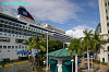 IMGP3878_thumb.jpg