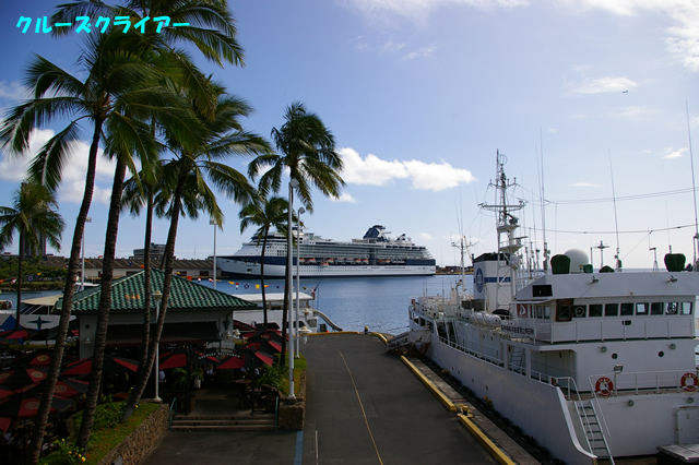 IMGP3882.jpg