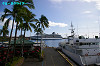 IMGP3882_thumb.jpg