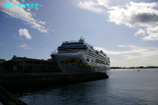 IMGP3892.jpg