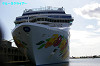IMGP3894_thumb.jpg