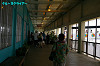 IMGP3902_thumb.jpg