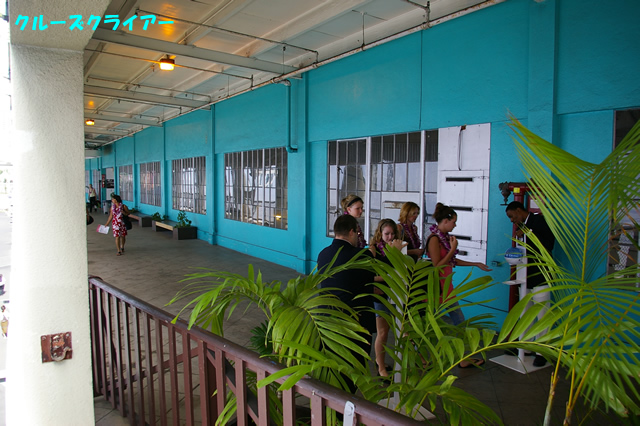 IMGP3905.jpg