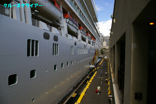 IMGP3906.jpg