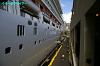 IMGP3906_thumb.jpg