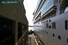 IMGP3907_thumb.jpg
