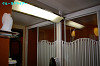 IMGP3920_thumb.jpg