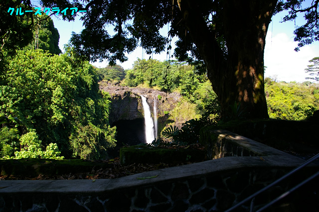 IMGP4019.jpg