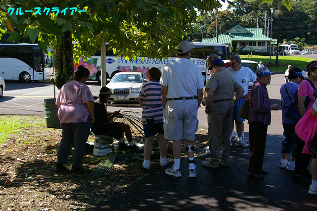 IMGP4020.jpg
