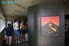 IMGP4034_thumb.jpg