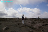 IMGP4054_thumb.jpg