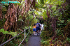 IMGP4056_thumb.jpg