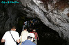 IMGP4060_thumb.jpg