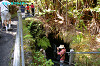IMGP4062_thumb.jpg