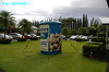 IMGP4065_thumb.jpg