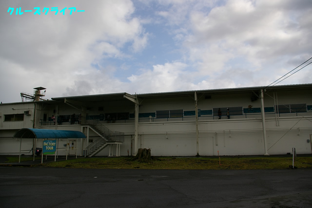 IMGP4073.jpg