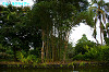 IMGP4078_thumb.jpg