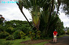IMGP4081_thumb.jpg