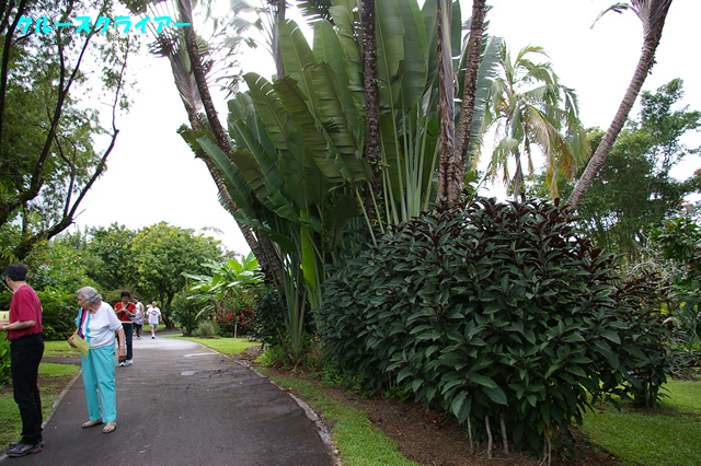 IMGP4083.jpg