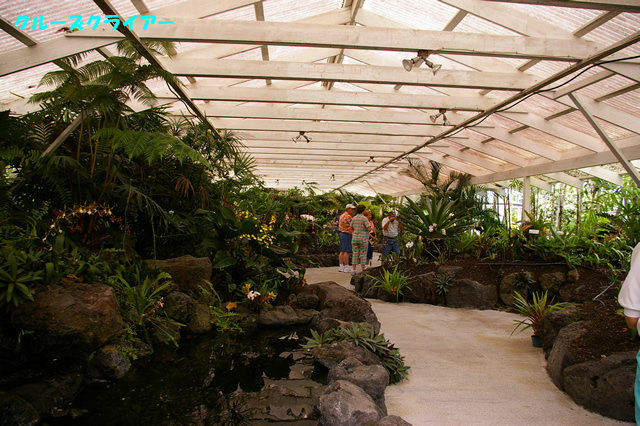 IMGP4090.jpg