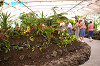 IMGP4092_thumb.jpg