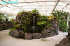 IMGP4094_thumb.jpg