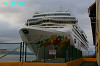 IMGP4100_thumb.jpg