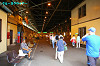 IMGP4103_thumb.jpg