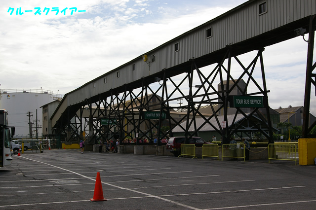 IMGP4250.jpg