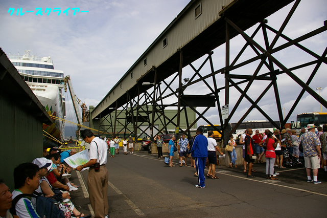 IMGP4256.jpg