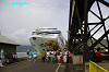 IMGP4258_thumb.jpg