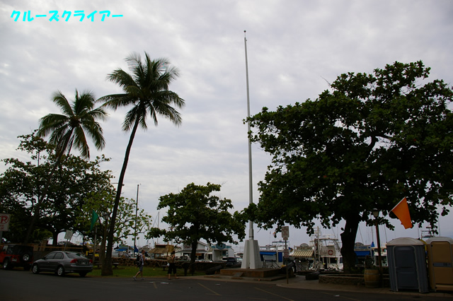 IMGP4266.jpg