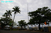 IMGP4266_thumb.jpg