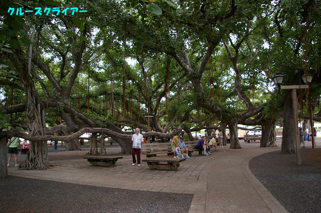 IMGP4267.jpg