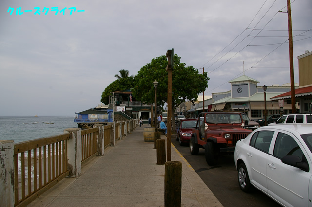IMGP4269.jpg