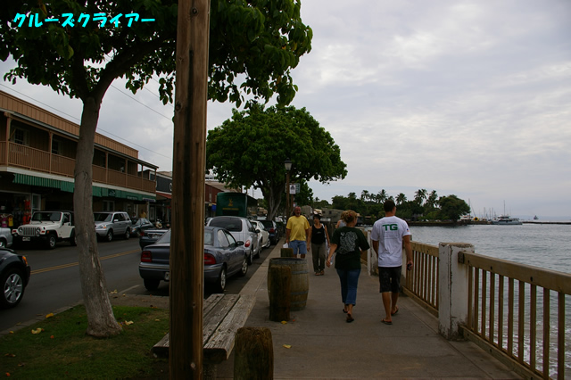 IMGP4270.jpg