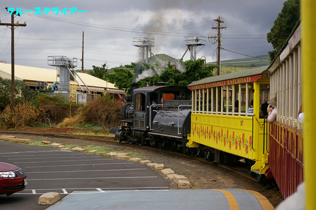IMGP4292.jpg