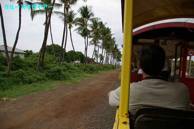 IMGP4300.jpg