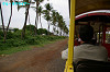 IMGP4300_thumb.jpg