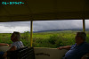 IMGP4305_thumb.jpg