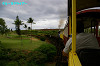 IMGP4307_thumb.jpg