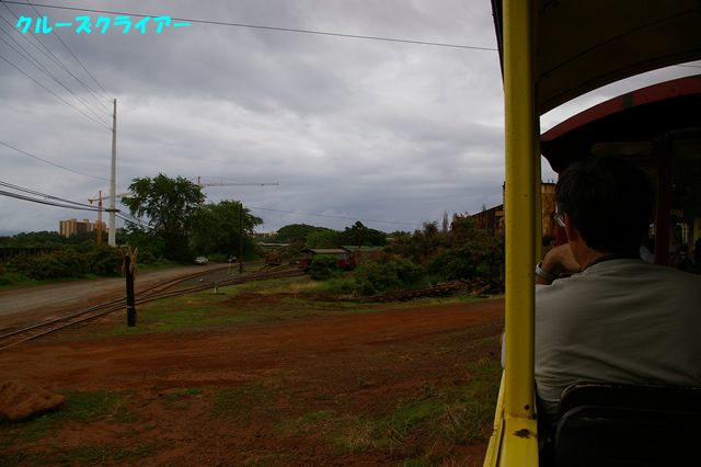 IMGP4314.jpg