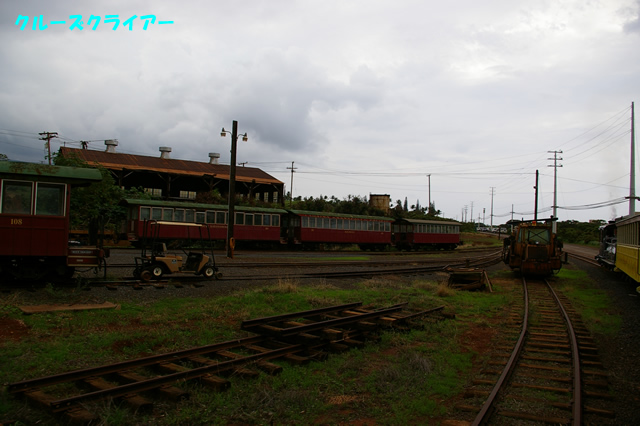 IMGP4317.jpg