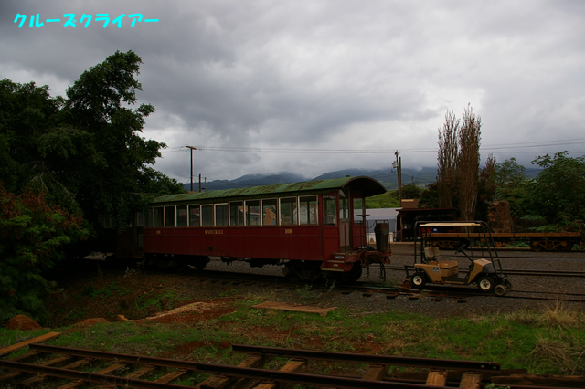 IMGP4318.jpg