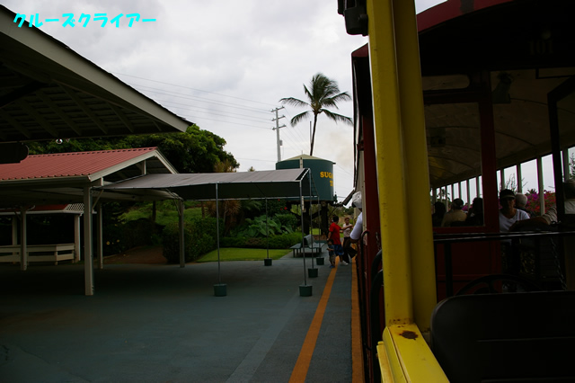 IMGP4330.jpg