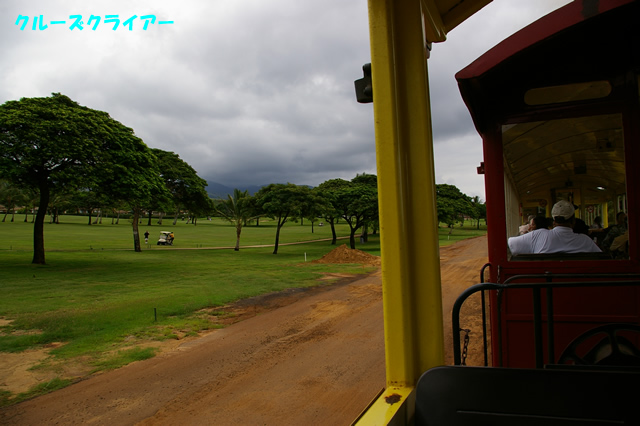 IMGP4332.jpg