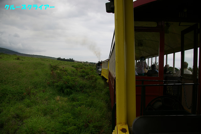 IMGP4337.jpg